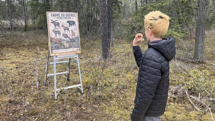 Un enfant s'apprête à lancer un dard sur un tableau de cibles à l'effigie d'animaux de la forêt.