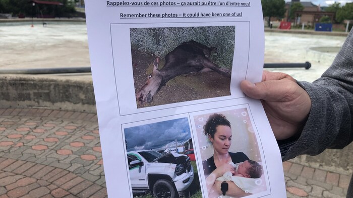 Affiche avec un orignal mort, voiture brisée et photo d'une mère tenant un bébé.