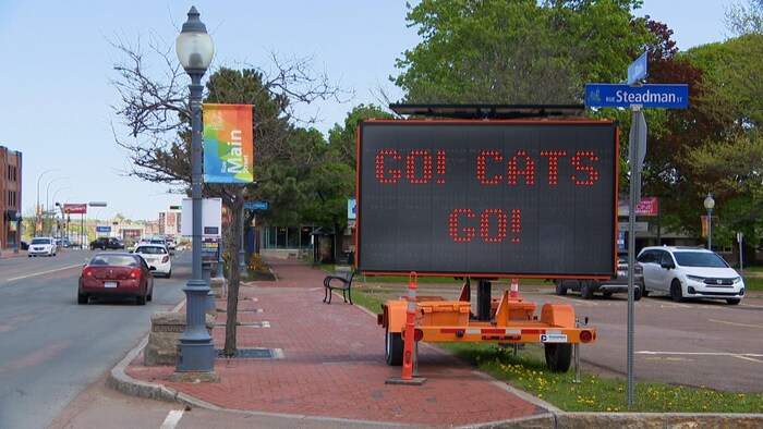 Go Cats Go.