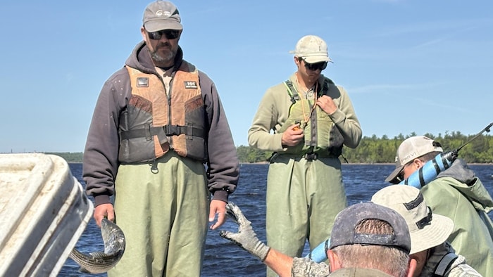 Des agents de pêche sur un bateau.
