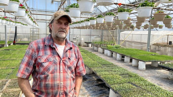 Steeve Bouchard debout dans sa serre.