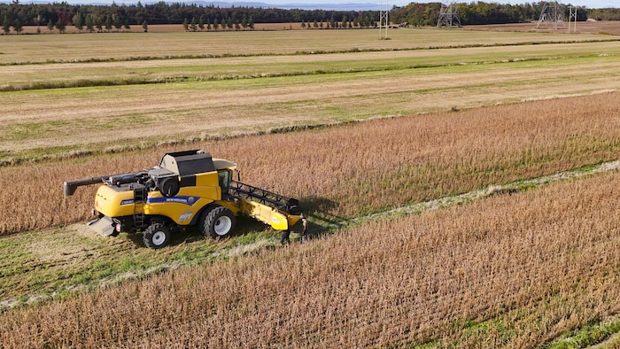 Un agriculteur récolte du soja à Lévis, au Québec.
