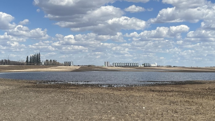 Un champ inondé à la ferme de Brett Halstead près de Nokomis, en Saskatchewan, en mai 2026.