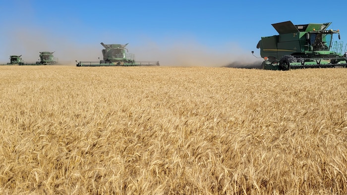 Des engins agricoles sur un champ.