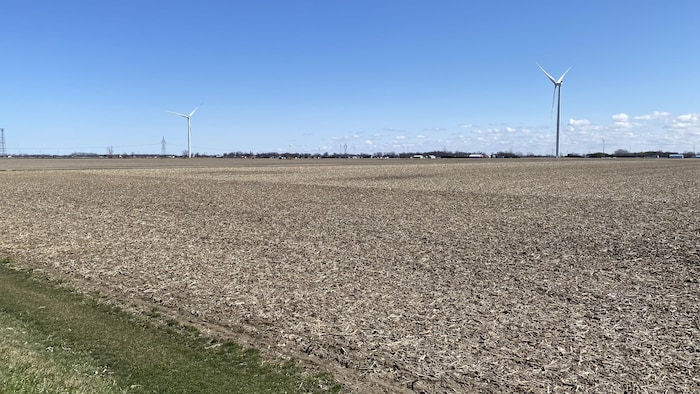 Un grand terrain agricole vide.