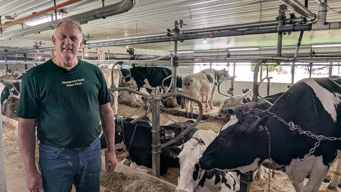 Un homme se tient dans un étable avec des vaches.