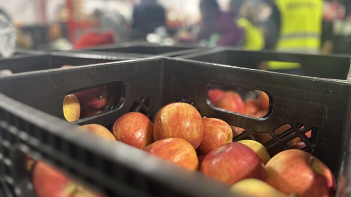 Un gros plan d'une boîte de lait remplie de pomme. L'arrière-plan est hors foyer.