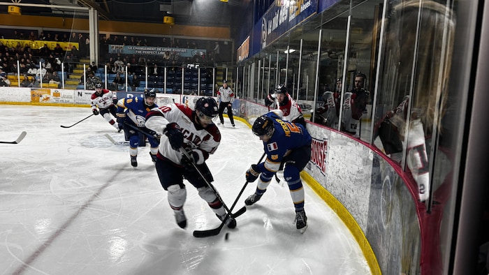 Des joueurs de hockey s'affrontent sur la glace dans un aréna. 