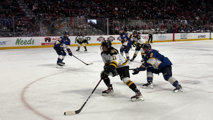 Des joueuses de hockey sur la glace pendant un match.