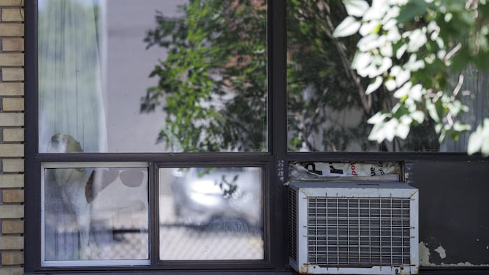Un appareil d’air climatisé monté sur une fenêtre avec un chien qui regarde par la fenêtre.