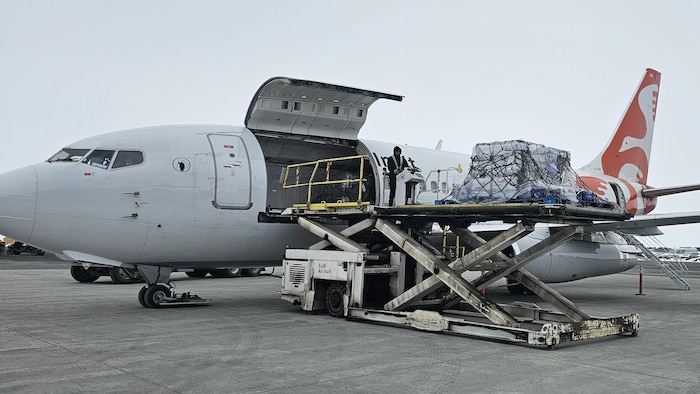 Des bouteilles sortent d'un avion. 
