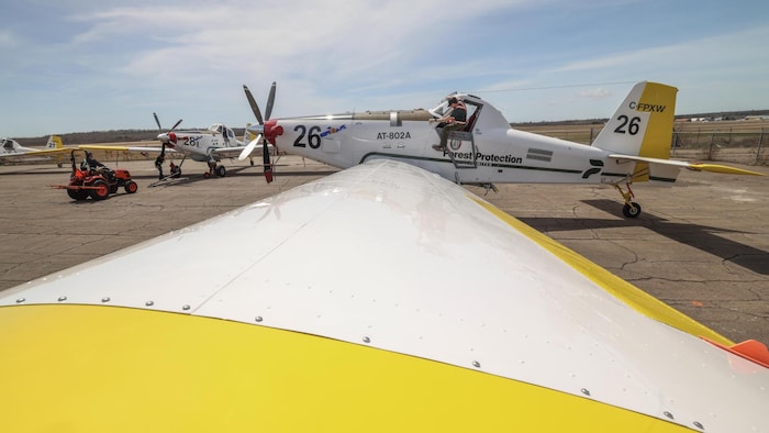 Plusieurs petits avions sur une piste. Un homme monte dans le cockpit de l'un d'entre eux.