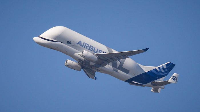 Un gros avion ressemblant à un béluga dans les airs. 