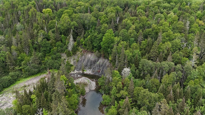 Vue aérienne de la rivière en été