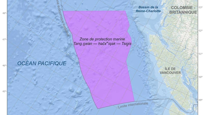 تزيد مساحة المنطقة المحمية البحرية الجديدة قبالة الساحل الغربي لجزيرة فانكوفر عن 133.000 كيلومتر مربّع.