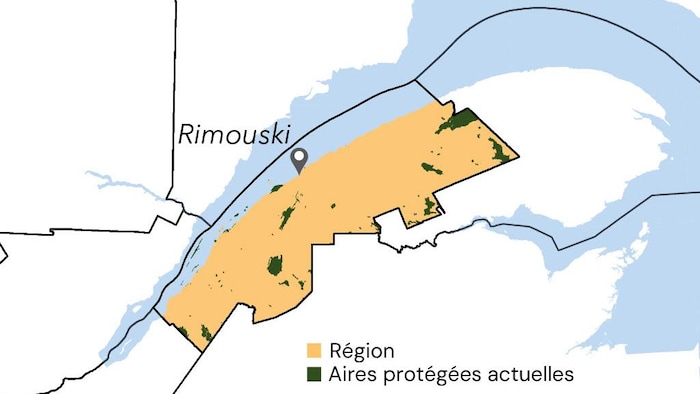 Une carte présentant les aires protégées actuelles du Bas-Saint-Laurent.