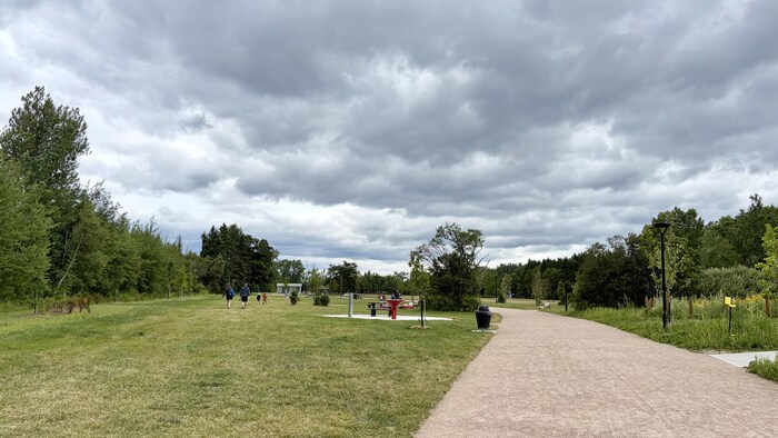 Sentier de marche bordé de gazon avec des tables de pique-nique.
