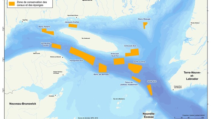 Carte du golfe où sont délimitées les 11 zones d'importance pour les plumes et les éponges.