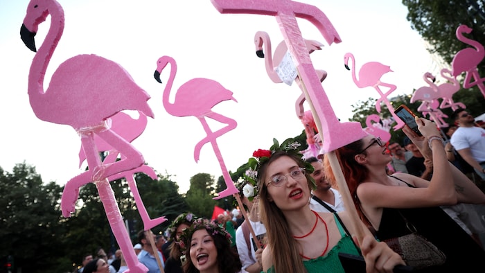 Des manifestantes brandissent des silhouettes de flamants roses alors qu'ils manifestent devant le bureau du premier ministre albanais.
