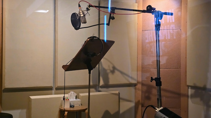Vue à travers une vitre d'un studio d'enregistrement insonorisé avec des panneaux acoustiques aux murs. Un microphone professionnel avec un filtre anti-pop est suspendu au-dessus d'un lutrin, à côté d'un tabouret et d'une petite table en bois.