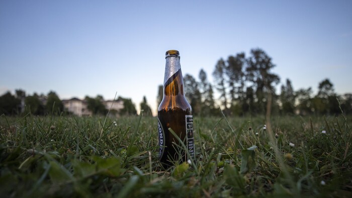 Une bouteille de bière posée dans l'herbe.