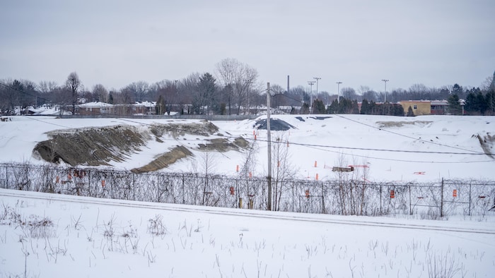Un vaste terrain est recouvert de neige.