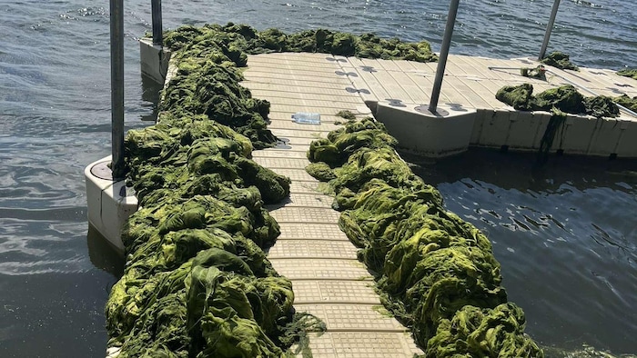 Des places placées en bordure d'eau.