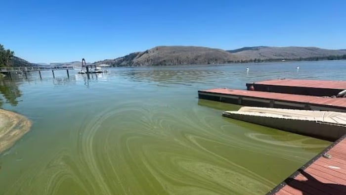 La vue d'un lac prise d'un quai, on peut voir des algues dans l'eau.