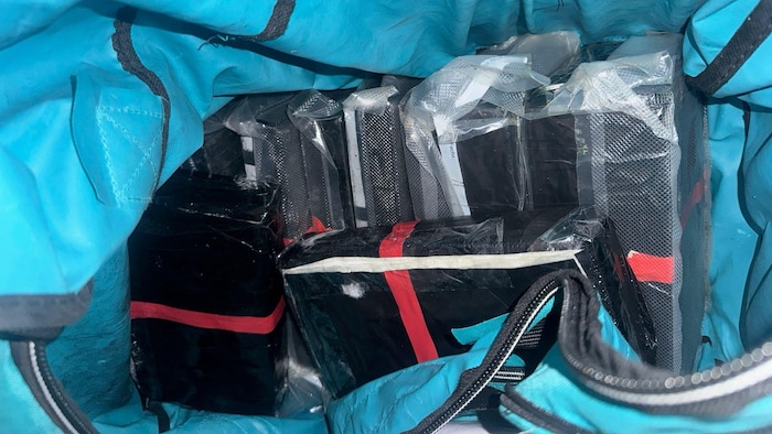 Cocaine bags.