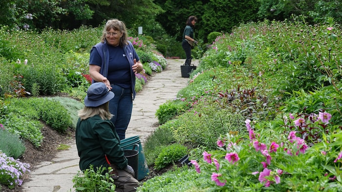 Patricia Gallant dans le secteur de l'Allée royale des Jardins de Métis.