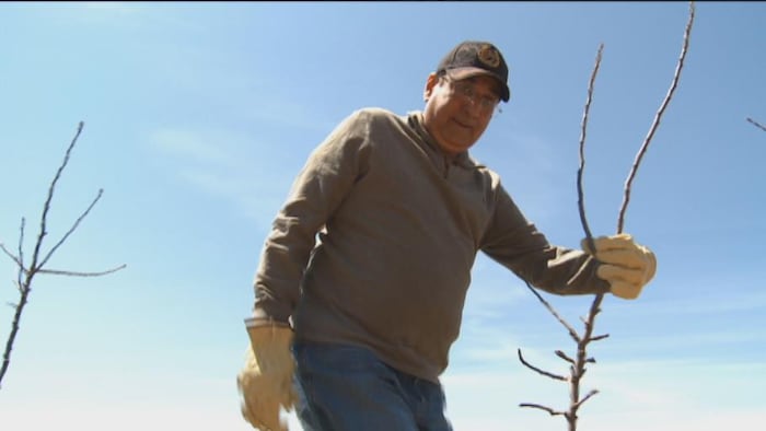 Homme avec casquette qui tient un arbre.