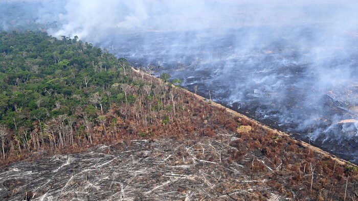 Vue aérienne d'une zone de la forêt amazonienne déboisée par un incendie illégal dans la municipalité de Labrea, dans l'État d'Amazonas, au Brésil, prise le 20 août 2024. 