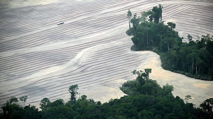 Une forêt amazonienne fortement déboisée.