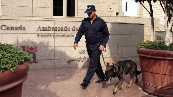 حارس أمن يسير مع كلبه أمام السفارة الكندية في القاهرة.