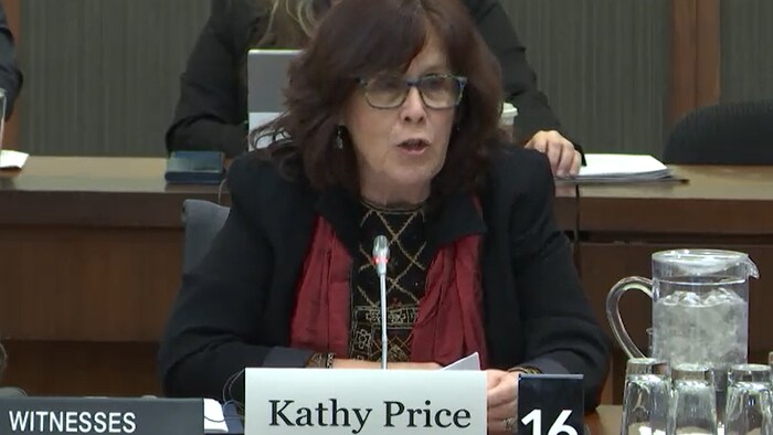 Une femme parle au micro dans dans un salle du Parlement canadien. Il s'agit de Kathy Price, responsable d'Amnesty International Canada pour l'Amérique latine, a fait part aux parlementaires canadiens des préoccupations de son organisation concernant l'exploitation minière en Équateur.