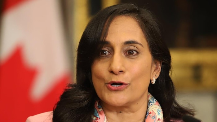 Anita Anand parle lors d'un point de presse.