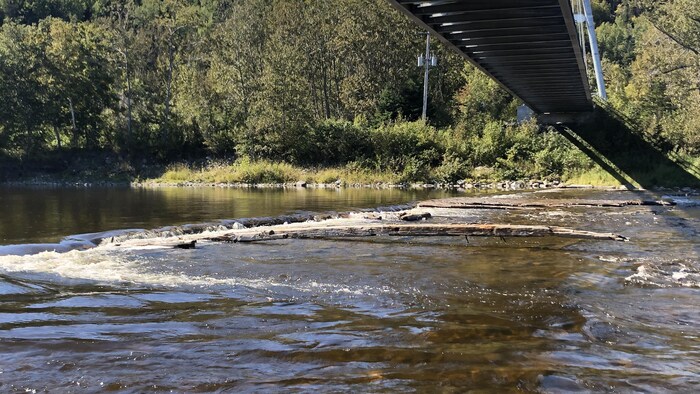 Une partie de l'ancien barrage de la compagnie Hammermill sur la rivière Matane est encore visible sous la passerelle René-Lavoie.