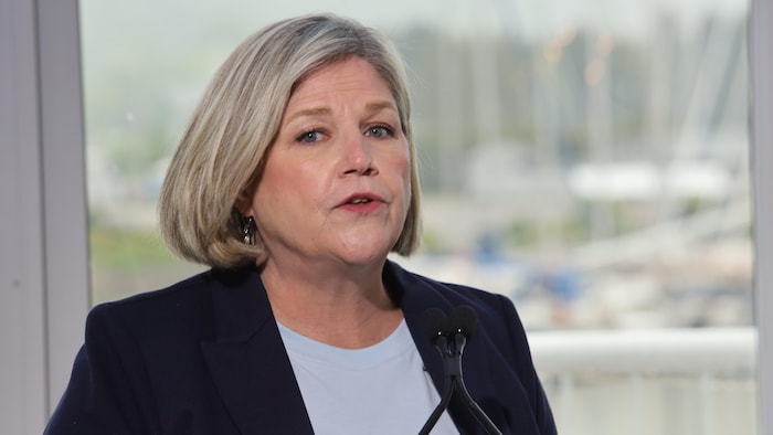Can Stone Canadian industry can last other Trump prices? star-news.press/wp Andrea Horwath Toronton on May 27, 2022.