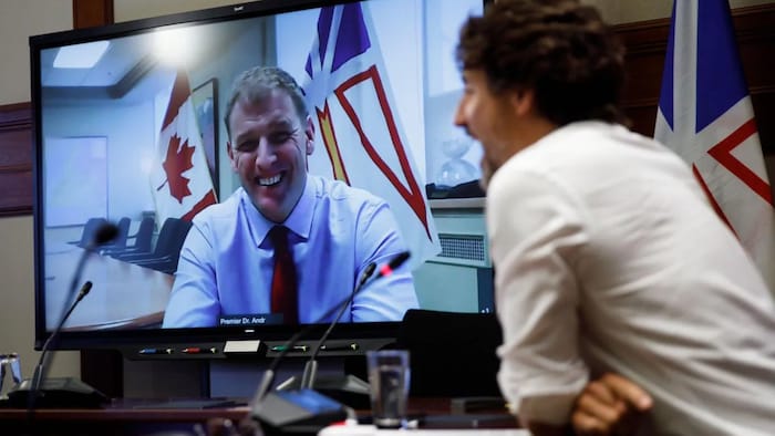 Newfoundland and Labrador Premier Andrew Furey and Prime Minister Justin Trudeau smile during a videoconference in September, 2020.