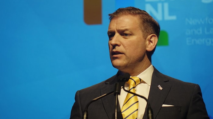 Andrew Furey prononce un discours.