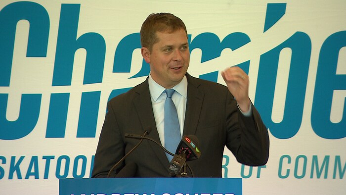 Canola : Andrew Scheer veut envoyer un signal fort à la Chine | Radio ...