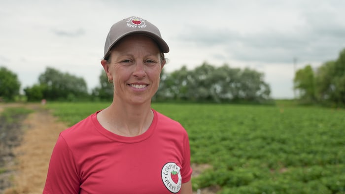 Une femme dans un champ de fraises.