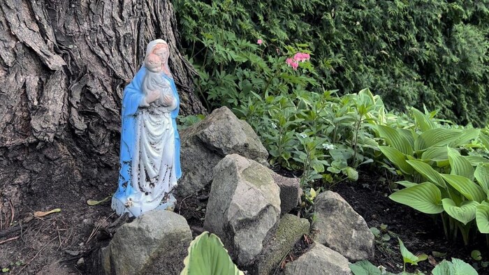 This statue of the Virgin Mary sits under a large maple tree in Ann Baker's backyard. She credits it with helping the tree stand firm despite two major storms in the past four years.