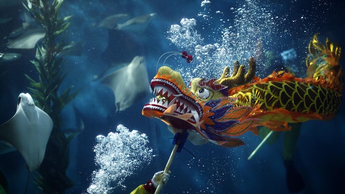 Un dragon multicolore au bout d'un bâton est agité par un plongeur dans un grand aquarium rempli de raies.