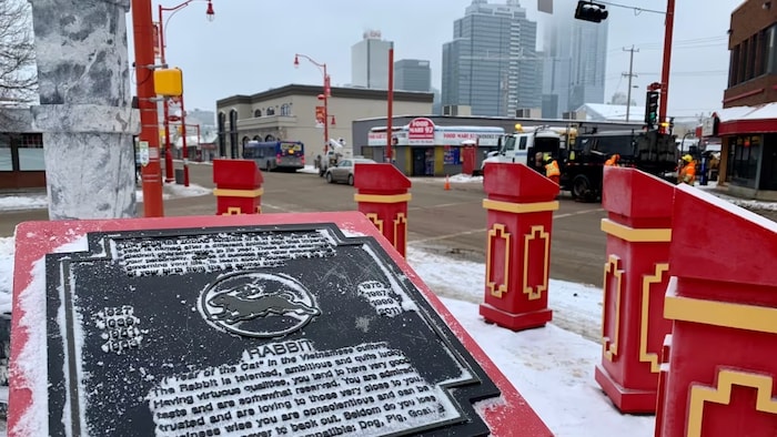 Les commerçants du quartier chinois d’Edmonton espèrent une année du ...