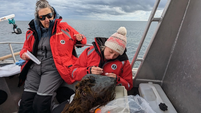 Annie Mercier et Joséphine Pierrat à bord d'un navire de recherche.