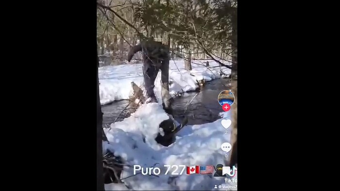 Une annonce de passage clandestin.