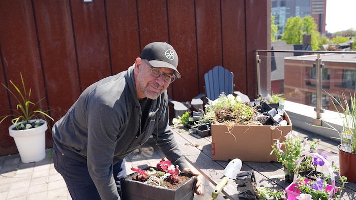 Anthony Aarts prépare des bacs à fleurs sur le toit de son auberge de jeunesse.