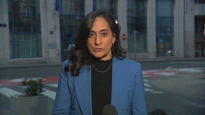 A portrait of Anita Anand.
