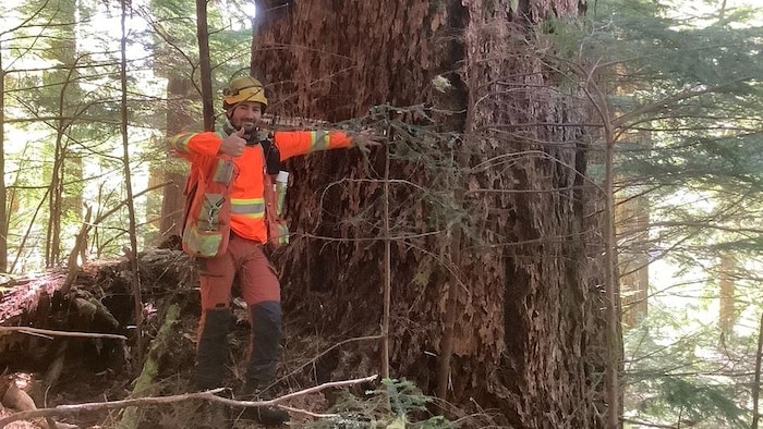 Antoine Guiot pose devant un arbre ancien dans une forêt.